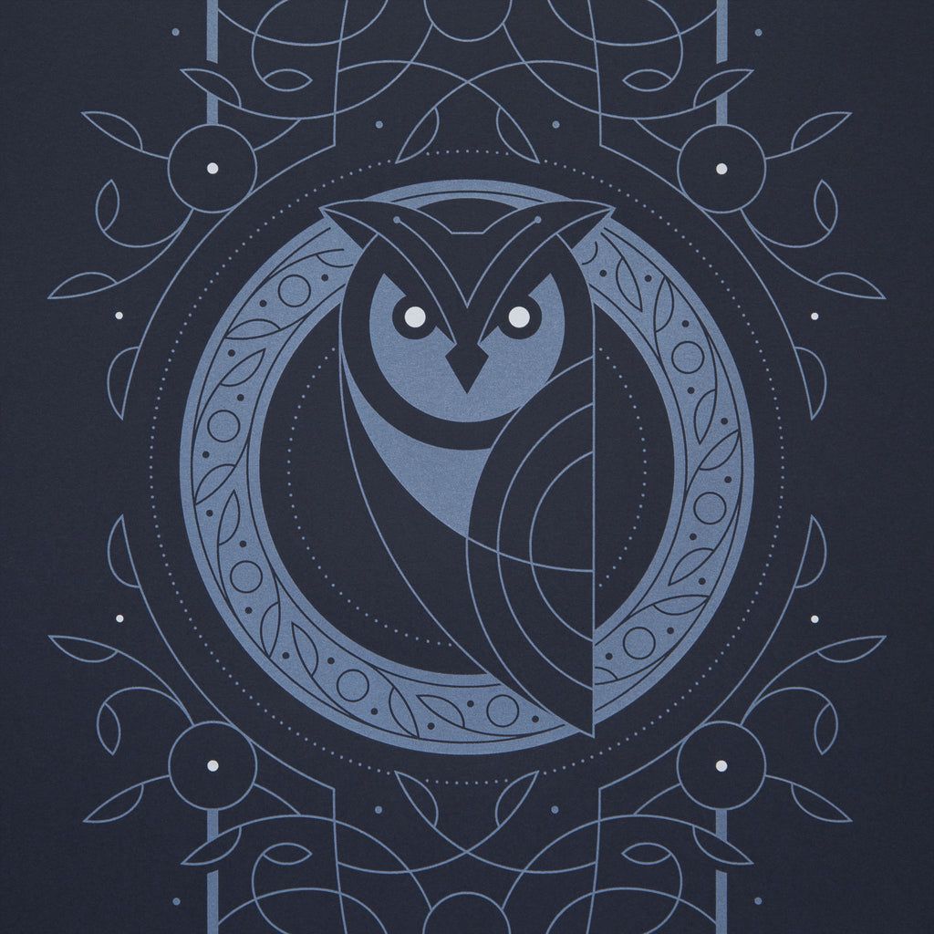 Night Owl Screen Print
